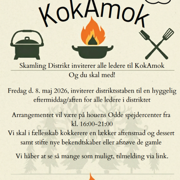 To spejderledere viser en færdselstavle for en gruppe børn